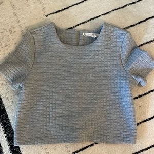Chelsea and Violet Crop Top in Gray